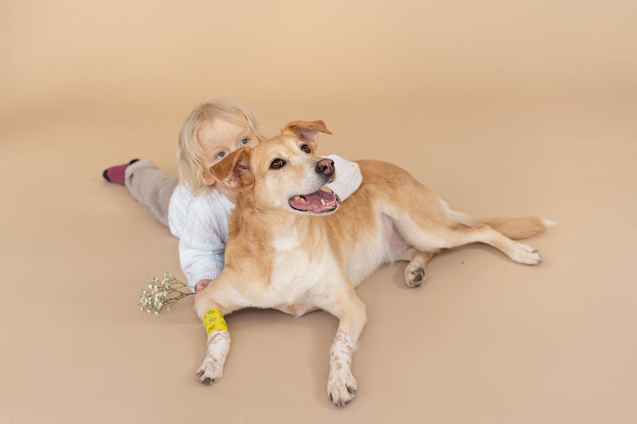 Young child lovingly embracing a happy dog on a studio floor.